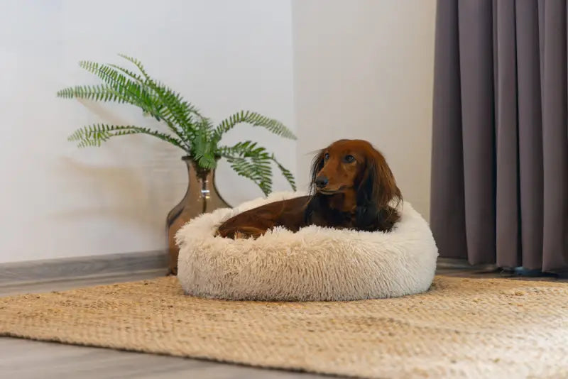 Pluche Hondenmand Yala — Beige - BEDDEN/MANDEN/KUSSENS