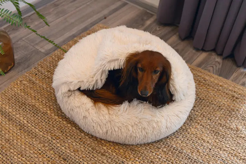 Pluche Hondenmand Yala — Beige - BEDDEN/MANDEN/KUSSENS
