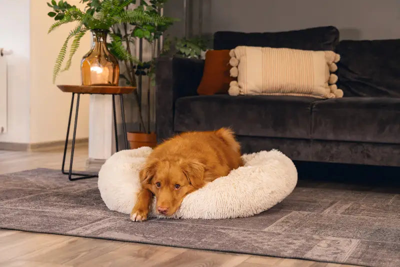 Pluche Hondenmand Yala — Beige - BEDDEN/MANDEN/KUSSENS