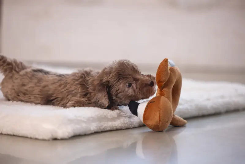 Pluche Puppy Rammelaar Flamy - SPEELGOED