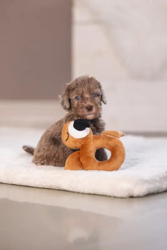 Pluche Puppy Rammelaar Flamy - SPEELGOED