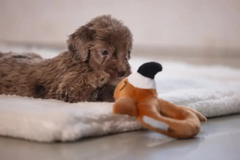 Pluche Puppy Rammelaar Flamy - SPEELGOED