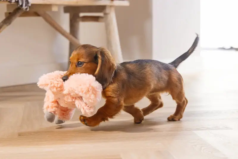 Pluche Puppy Speelgoed Flamingo - SPEELGOED