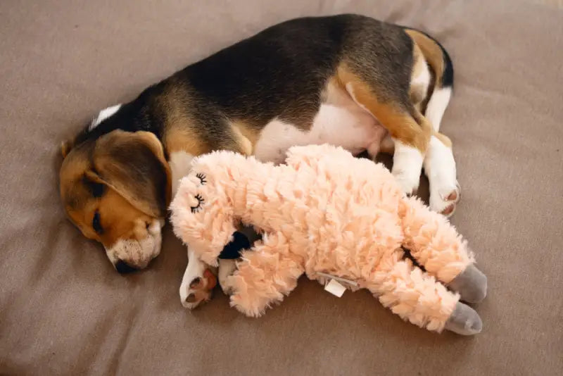 Pluche Puppy Speelgoed Flamingo - SPEELGOED