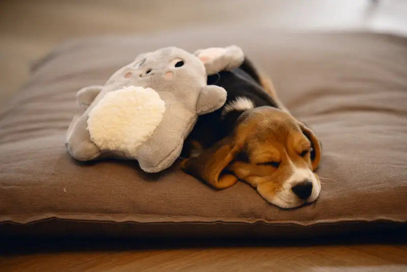 Pluche Puppy Speelgoed Snoet - SPEELGOED