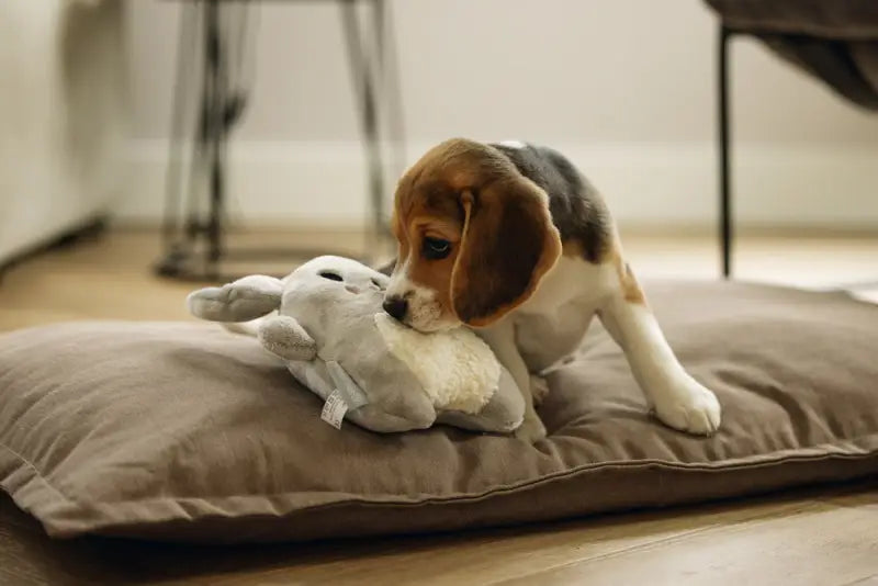 Pluche Puppy Speelgoed Snoet - SPEELGOED