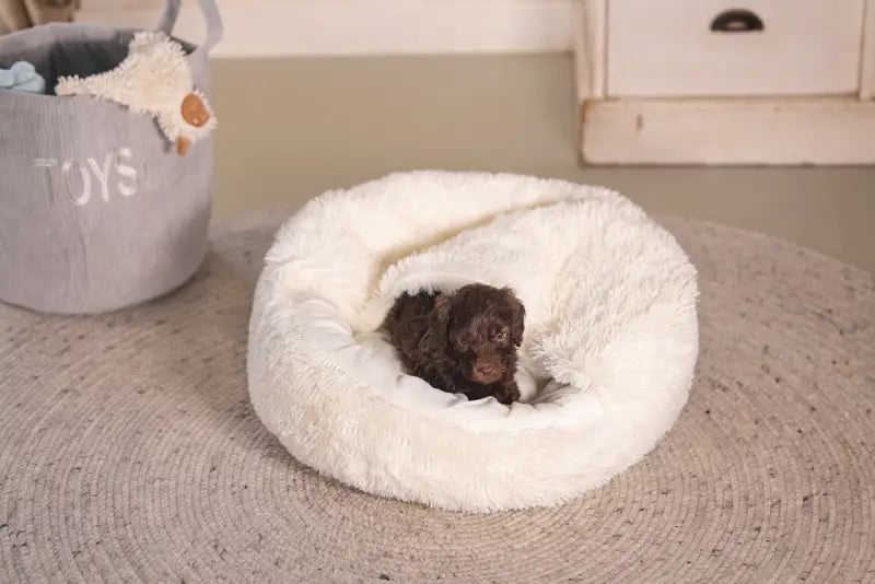 Puppy Hondenmand Kiki — Crème - BEDDEN/MANDEN/KUSSENS
