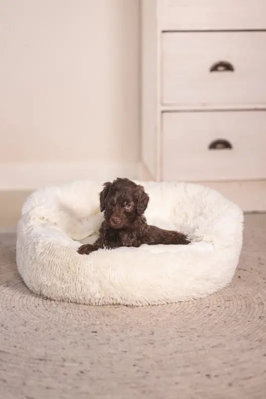 Puppy Hondenmand Kiki — Crème - BEDDEN/MANDEN/KUSSENS