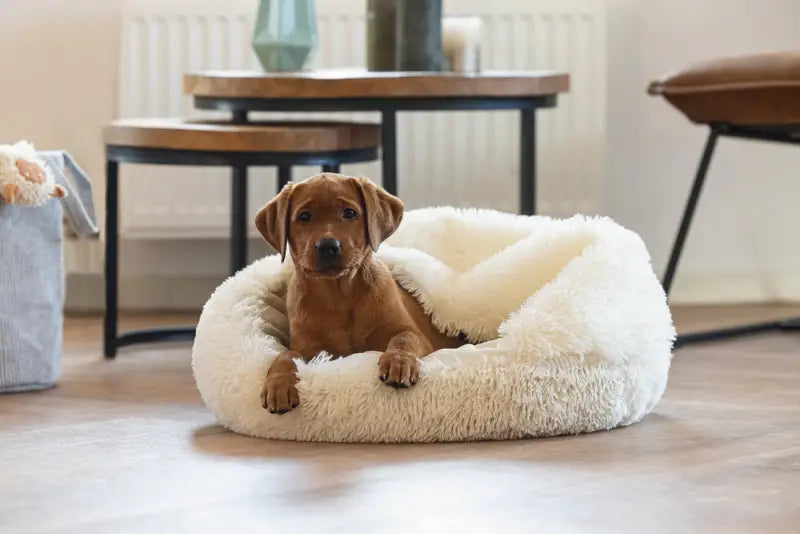 Puppy Hondenmand Kiki — Crème - BEDDEN/MANDEN/KUSSENS