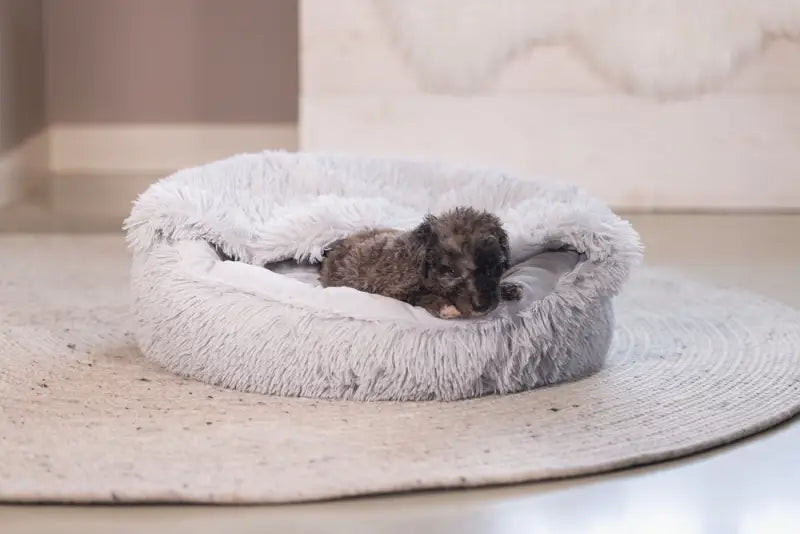 Puppy Hondenmand Kiki — Grijs - BEDDEN/MANDEN/KUSSENS