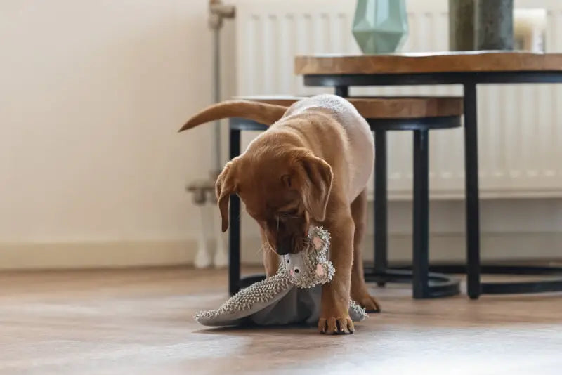 Puppy Knuffellap Konijn An - SPEELGOED