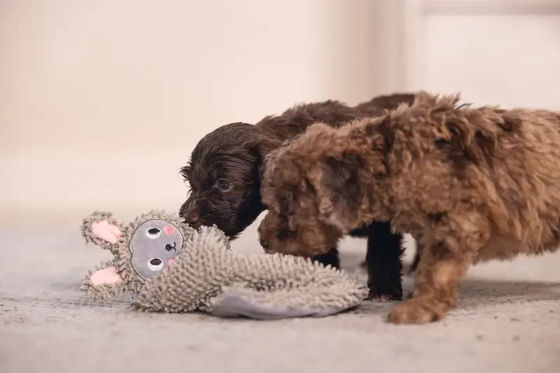 Puppy Knuffellap Konijn An - SPEELGOED