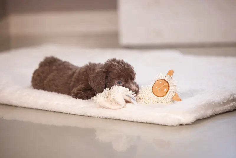 Puppy Knuffellap Schaap Lu - SPEELGOED