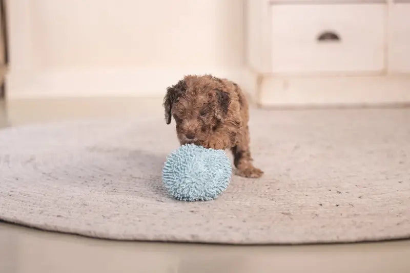 Puppy Speelgoed Bal Lily - SPEELGOED
