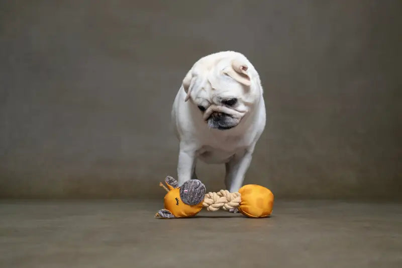 Puppy Speelgoed Britty Giraf SPEELGOED