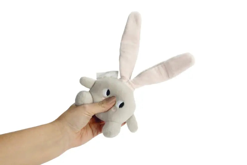 Puppy Speelgoed Canina - SPEELGOED