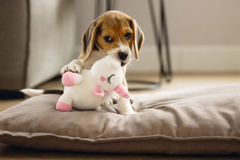 Puppy Speelgoed Eenhoorn Owen — Wit - SPEELGOED