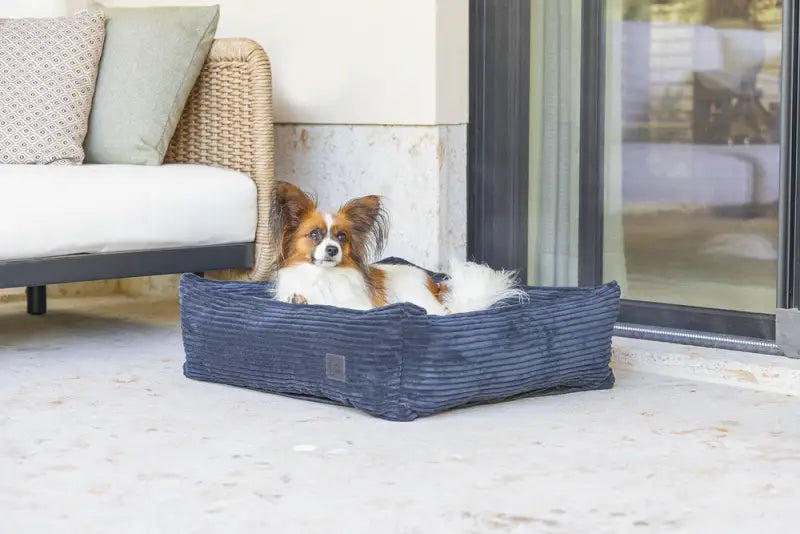 Ribbed Hondenmand antraciet — Antraciet - BEDDEN/MANDEN/KUSSENS