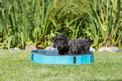 Trixie Hondenzwembad Lichtblauw / Blauw