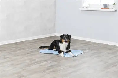 Trixie Koelmat Bot Lichtblauw