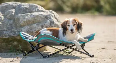 Trixie Stretcher Voor Hond Donkergrijs / Petrol