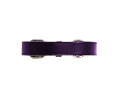 UrbanPup Hondenhalsband Purple 19-27 cm