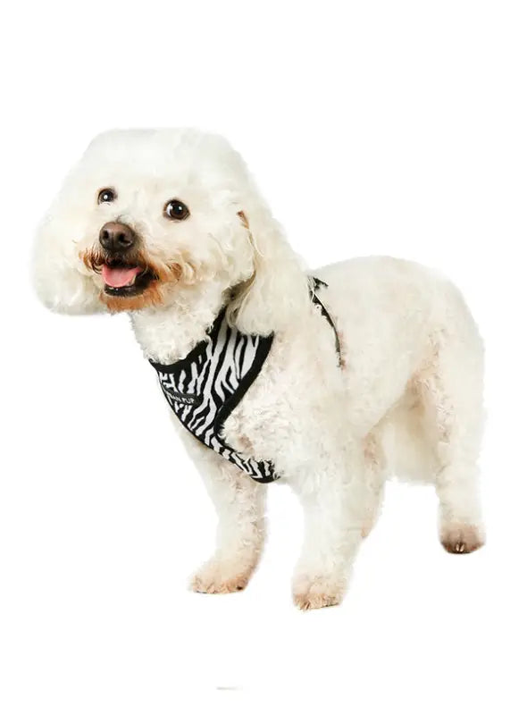 UrbanPup Zebra Hondenharnas — Zwart / Wit - Hondentuigje
